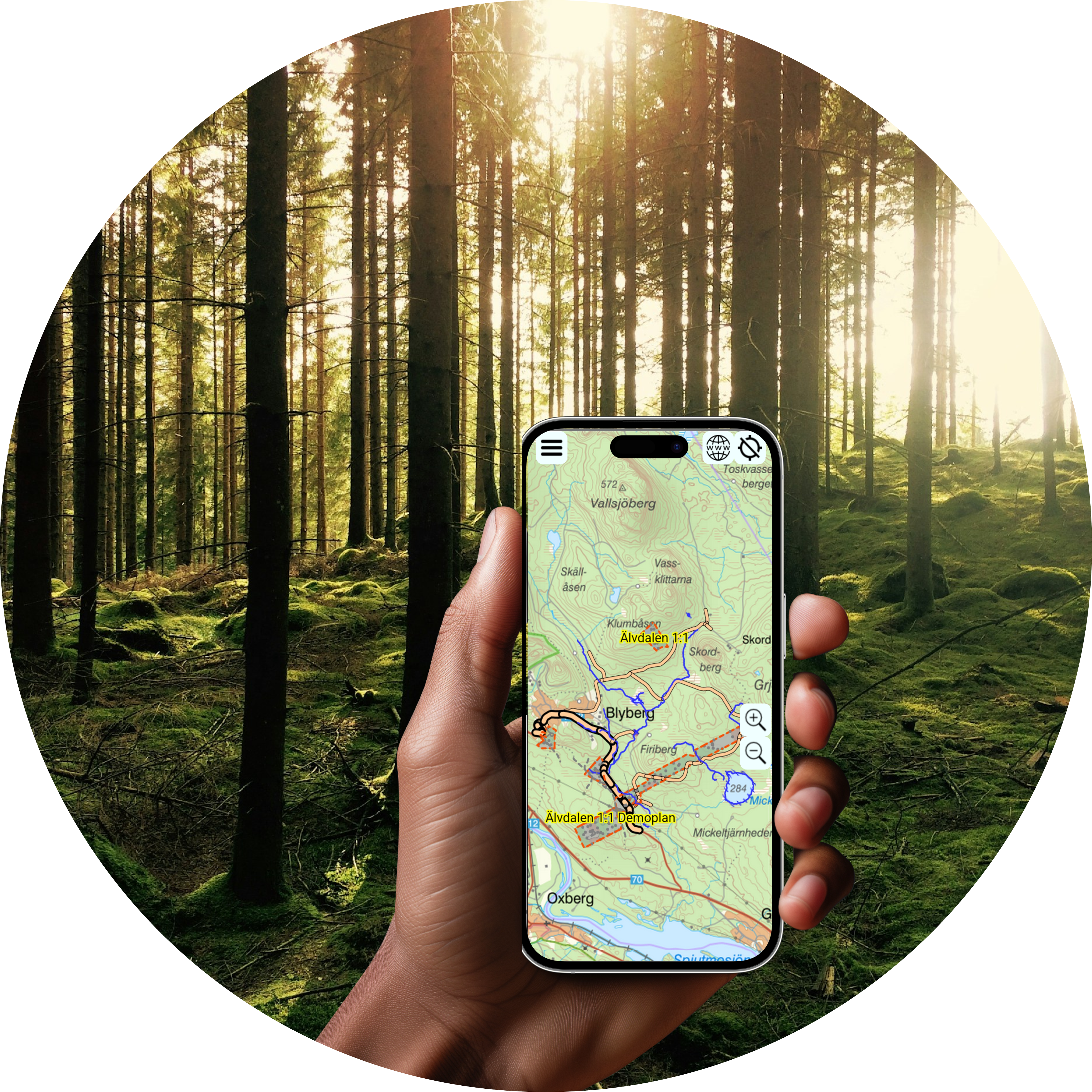 Iphone_forest