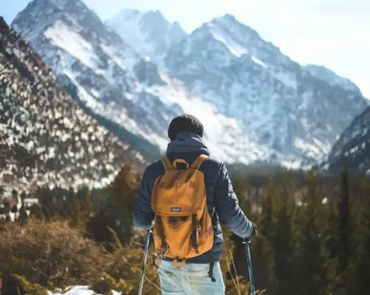 Man In Mountains